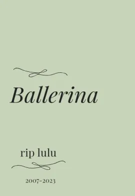 ดูหนังออนไลน์ฟรี Ballerina 2023