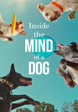 ดูหนังออนไลน์ฟรี Inside the Mind of a Dog 2024 อ่านใจสุนัข