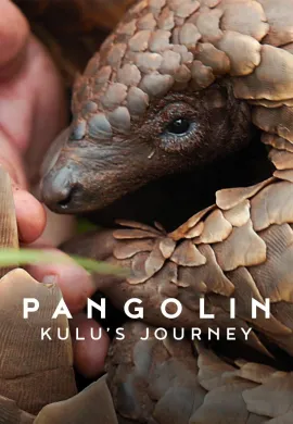 ดูหนังออนไลน์ฟรี Pangolin: Kulu’s Journey 2025 การเดินทางของคูลู
