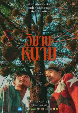 ดูหนังออนไลน์ฟรี The Paradise of Thorns 2024 วิมานหนาม