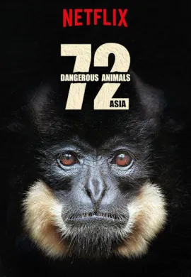 ดูหนังออนไลน์ฟรี 72 Dangerous Animals: Asia 2018 สัตว์อันตราย: เอเชีย