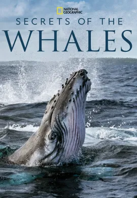 ดูหนังออนไลน์ฟรี Secrets of the Whales 2021