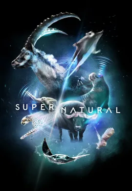 ดูหนังออนไลน์ฟรี Super/Natural 2022