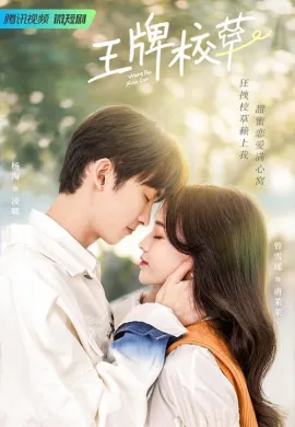 ดูหนังออนไลน์ฟรี ดูซีรี่ย์ฟรี Campus Ace 2022 เต็มเรื่อง Ep1-24
